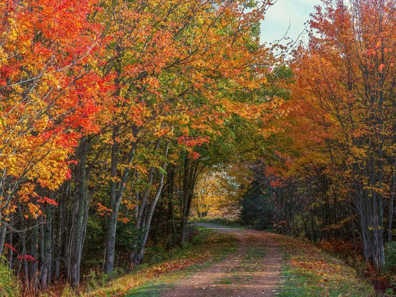 Prince Edward Island