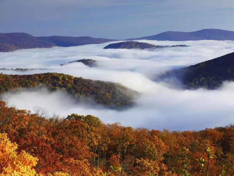 Shenandoah National Park in the fall