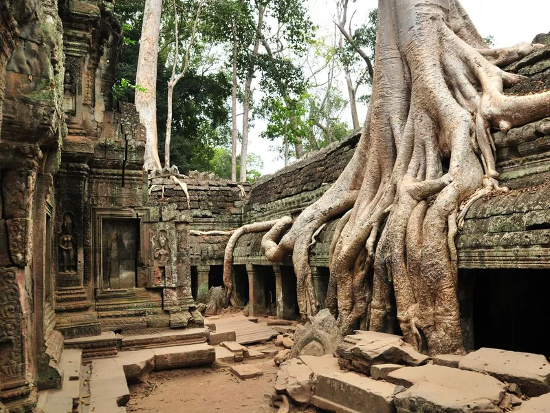 Ta Phrom, Cambodia