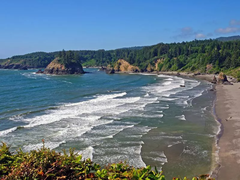 Aerial View of Trinidad State Beach in California