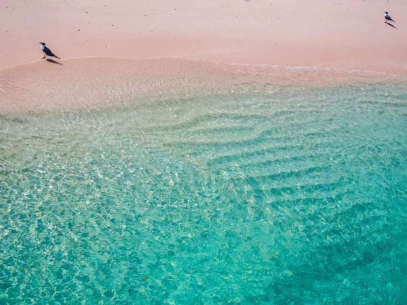 Pink sand beach in the Bahamas