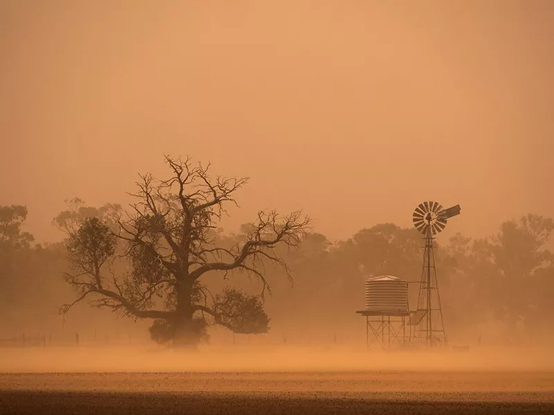 Farm in a drought