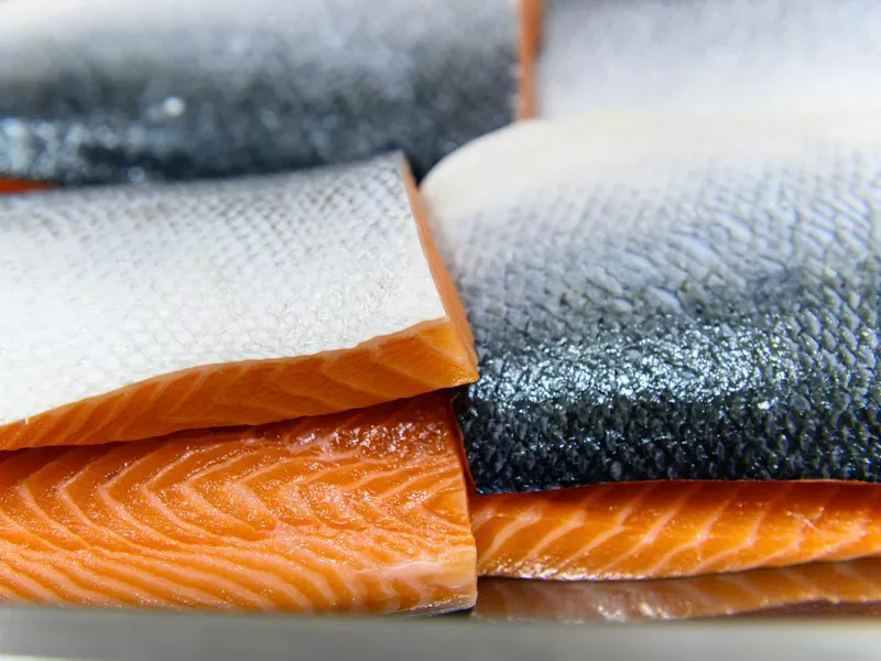 Fresh salmon fillet