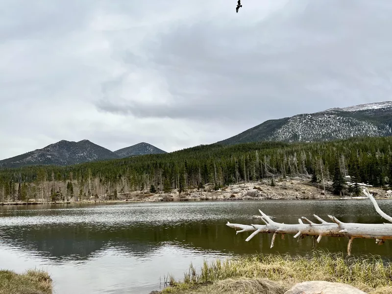 Lake in Rocky Mountain National Park