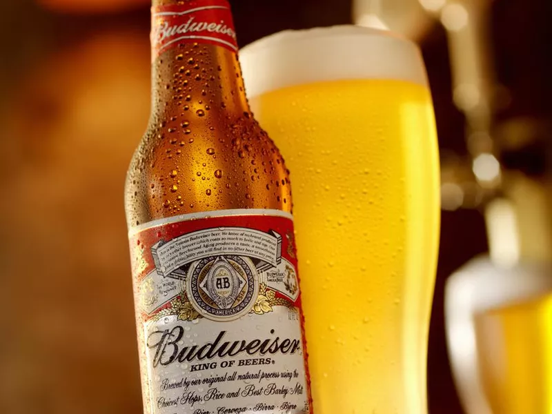 Ice Cold Bottle of Budweiser