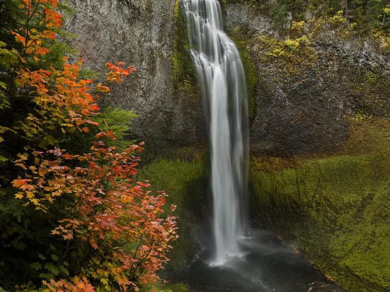 Salt Creek Falls