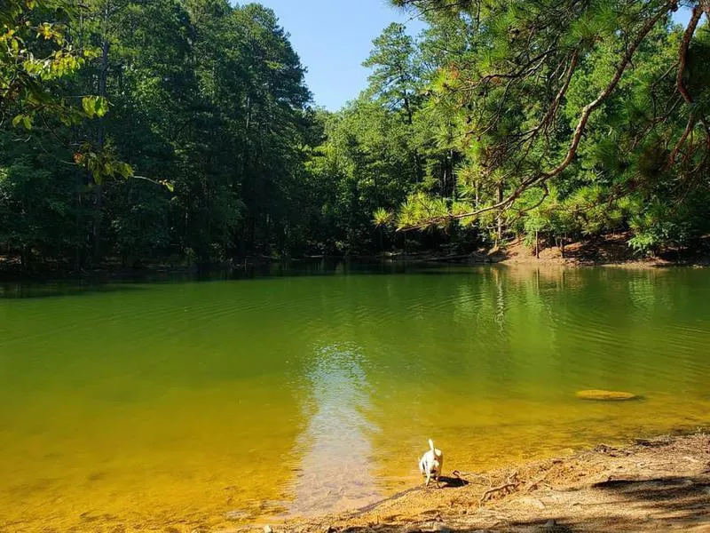 Red Top Mountain lake