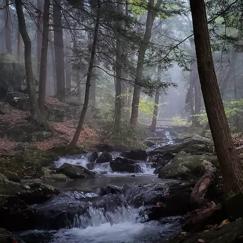 Massachusetts Bear Rock falls