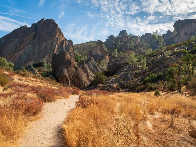 Trail through Pinnacles National Park