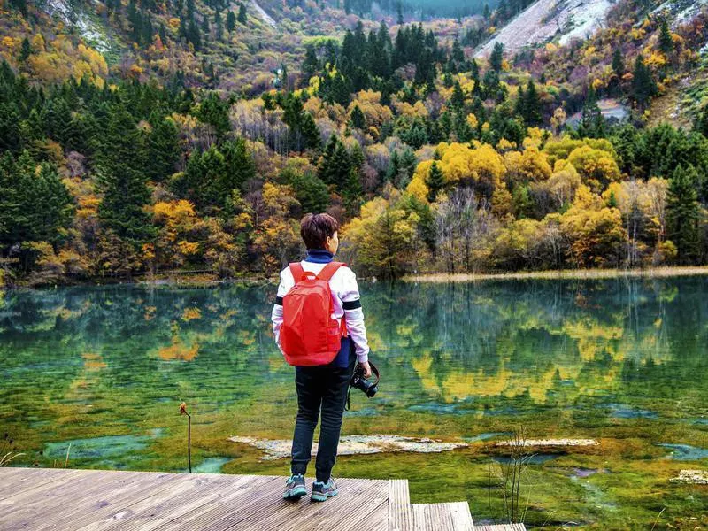 Jiuzhaigou Valley Forest