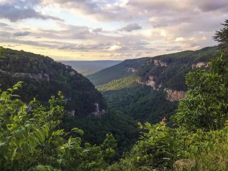 Cloudland Canyon