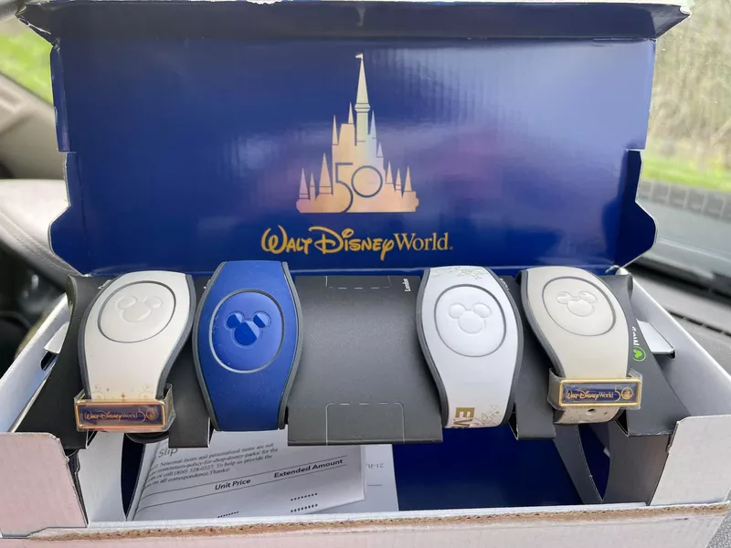 Disney MagicBands