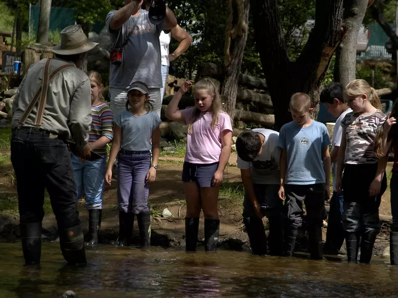 Gold Prospecting Adventure in California