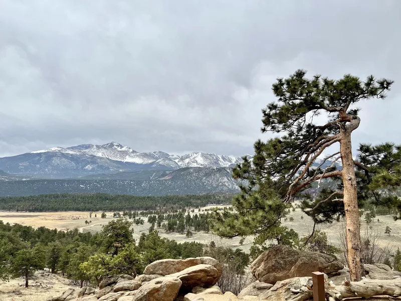 Rocky Mountains in the spring