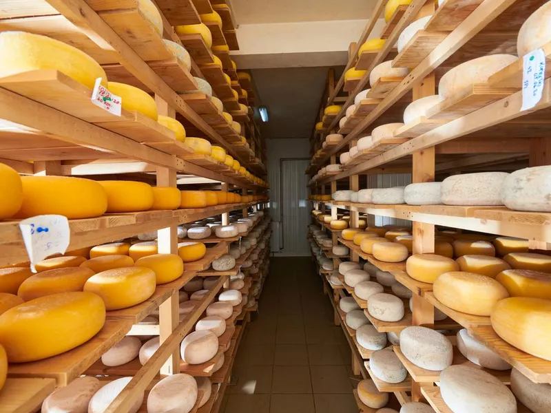 Cheese factory