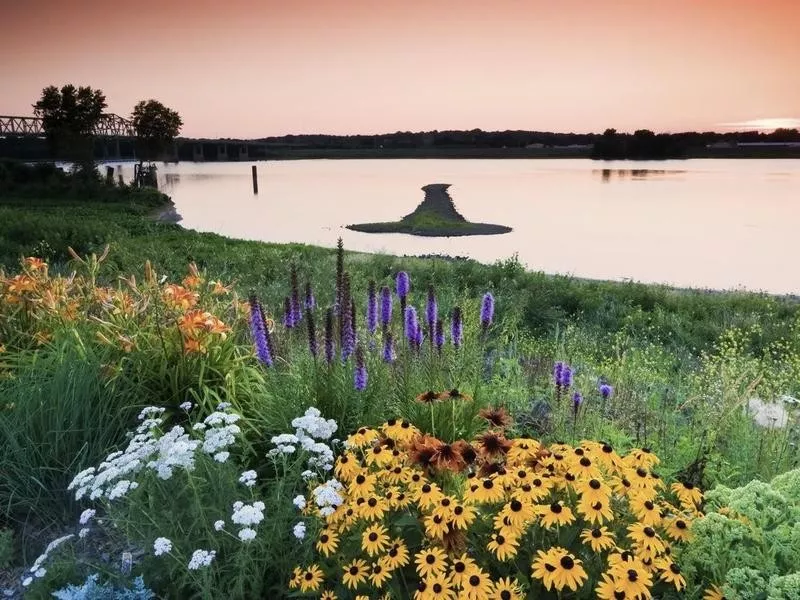 Iowa nature