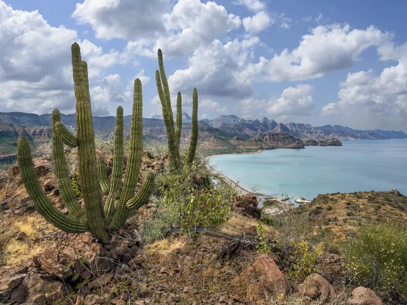 Sierra de la Giganta and the Sea of Cortes