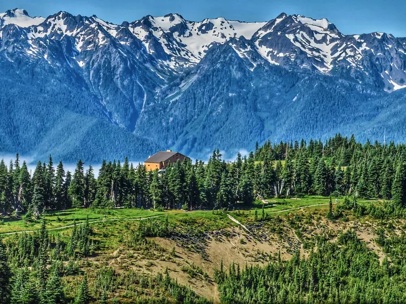 Hurricane Ridge Olympic National Park