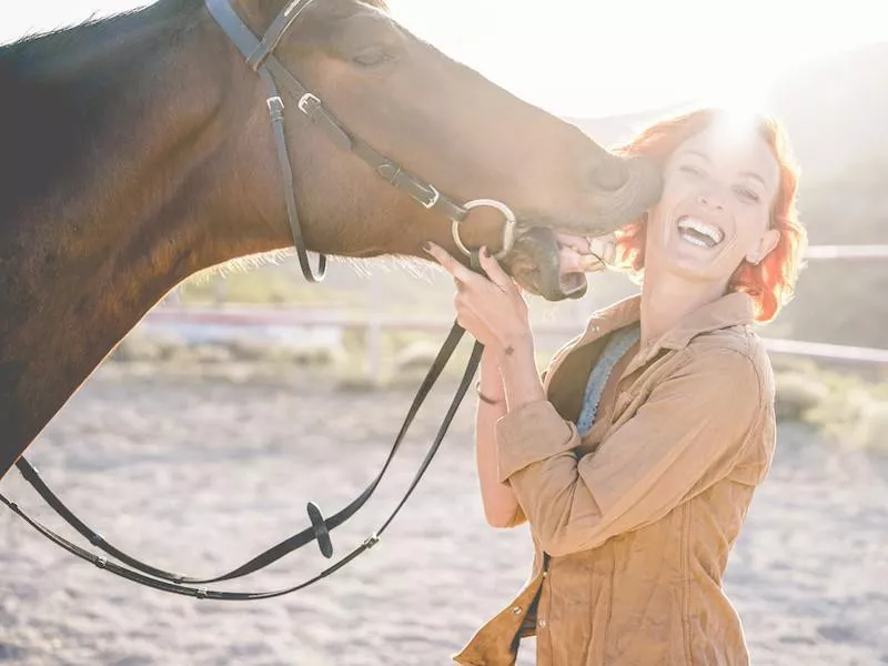 Texas horses