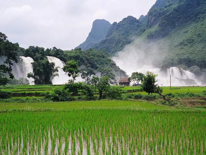 Ban Gioc-Detian Falls