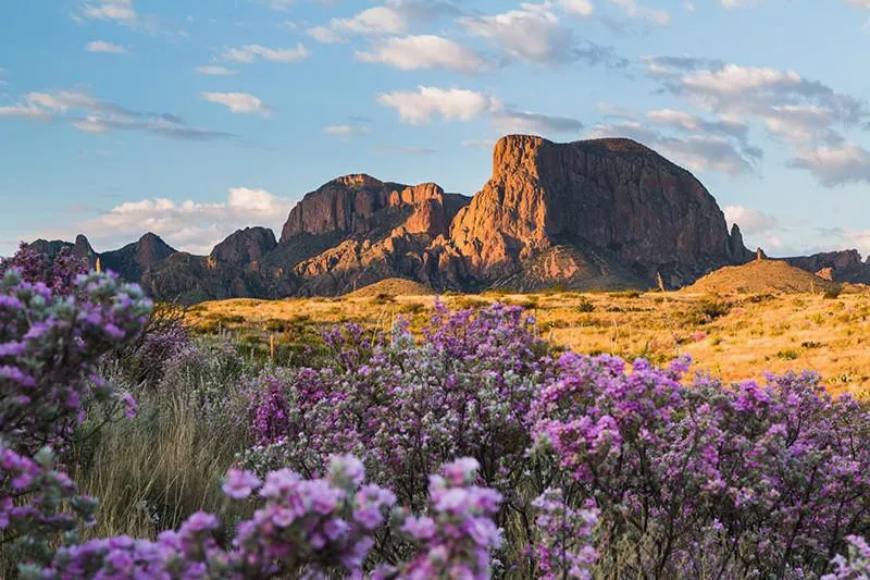 Chisos Mountain