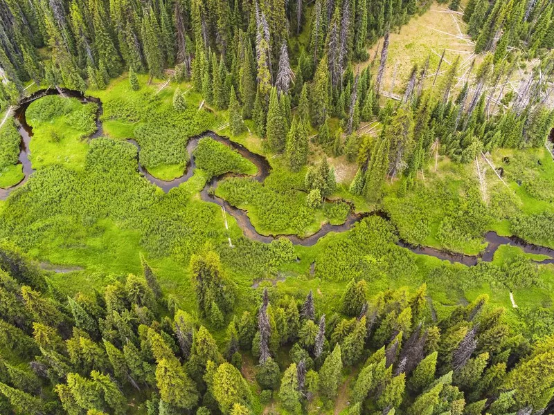 Winding River in Wild Montana