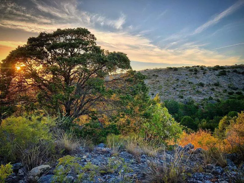 Kickapoo Cavern State Park