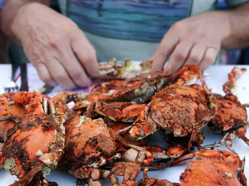 Meal of fresh steamed crabs