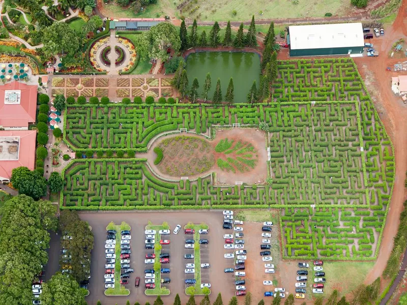 Dole Plantation Maze