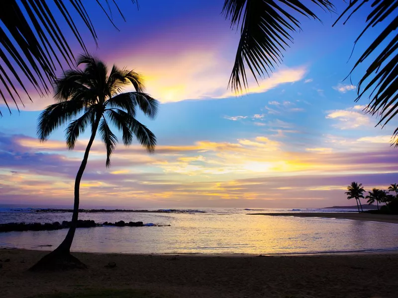 Sunset Sihouette Palm Tree on Poipu Beach of Kauai Hawaii