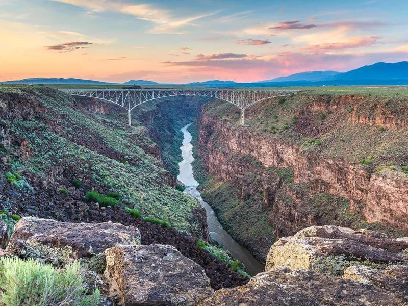 Taos nature