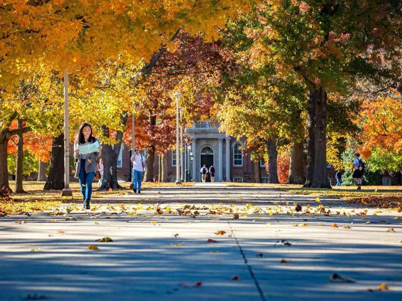 Students at University of Arkansas