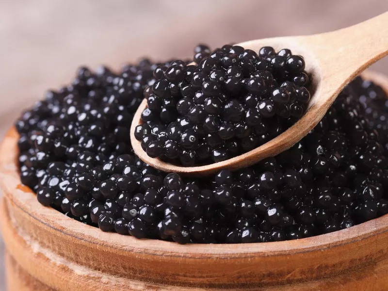 Beluga Caviar