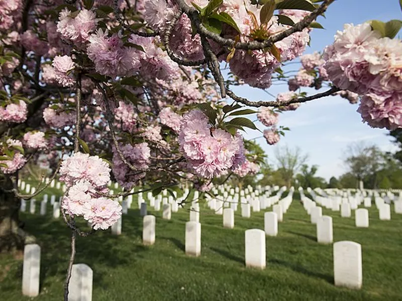 Arlington National Cemetery