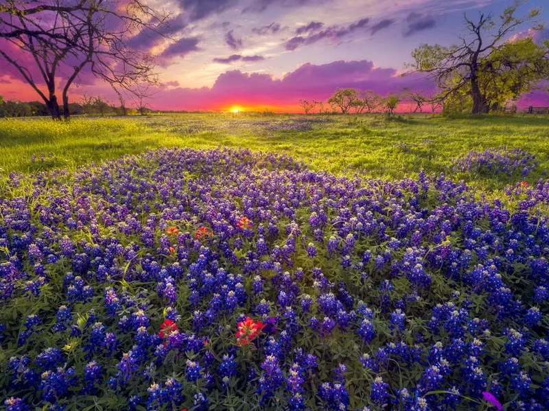 Sunrise in the Texas Hill Country