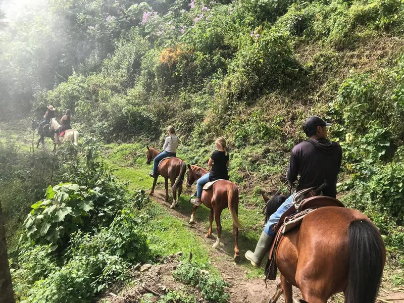 Horseback riding in Antigua