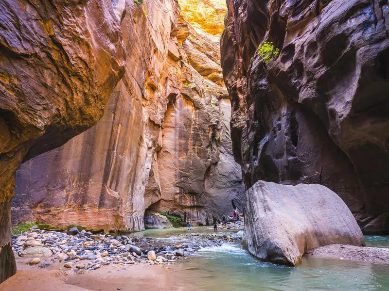 Zion gorge