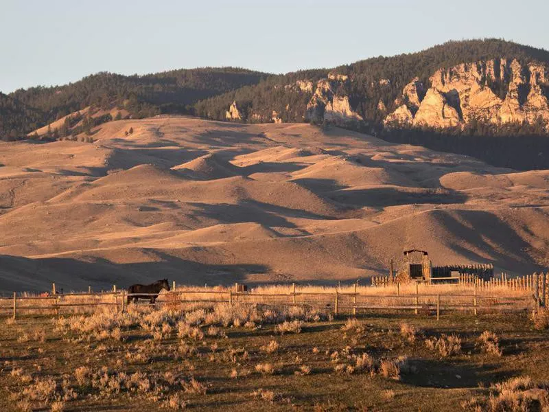 buffalo, wyoming farm