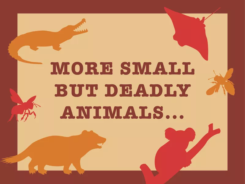 Small but deadly animal facts