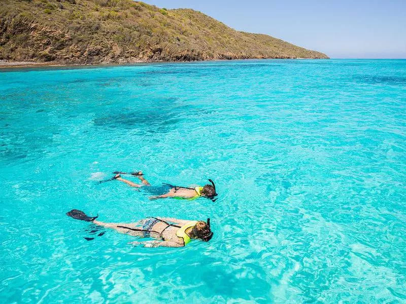 Buck Island snorkeling