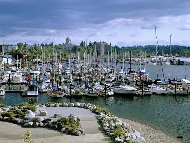 olympia marina with boats