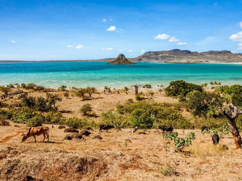 Madagascar landscape