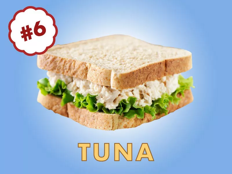 Tuna Sandwich