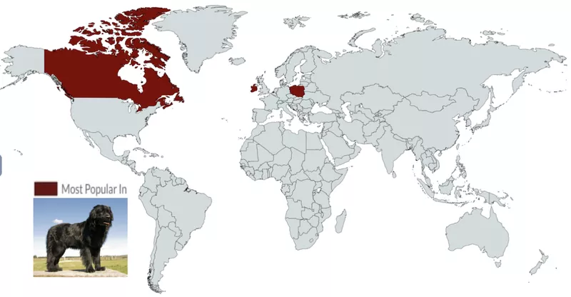 Newfoundland map