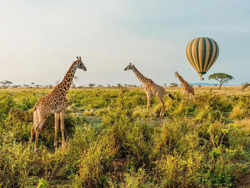 Tanzania