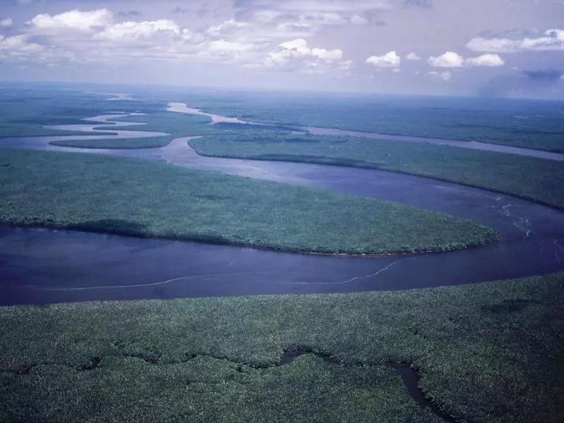 Borneo Lowland Rainforests