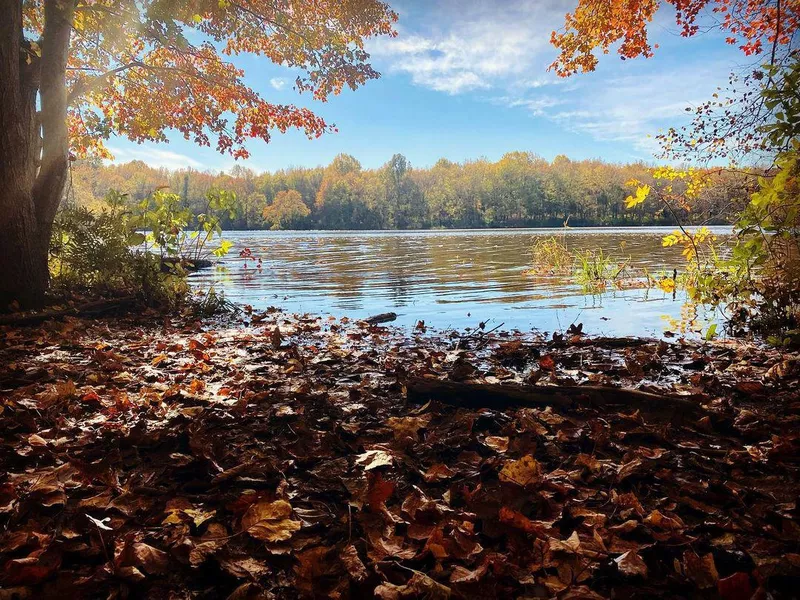 Lums Pond State Park Delaware