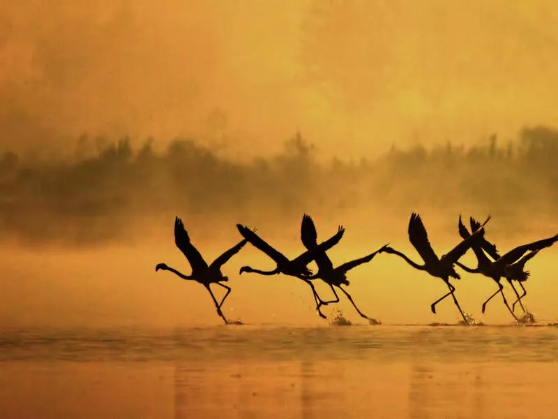 Lake Nakuru