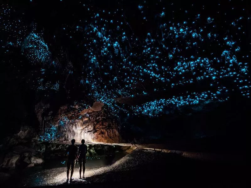 Waitomo Caves