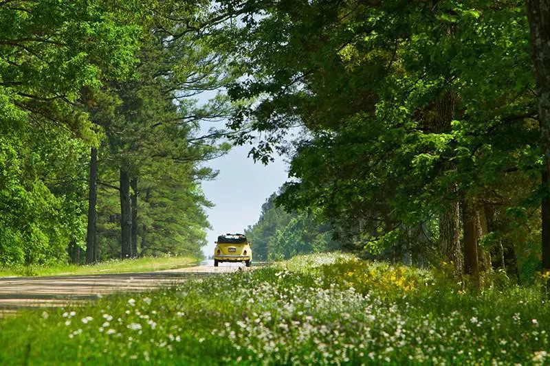 Natchez Trace Parkway